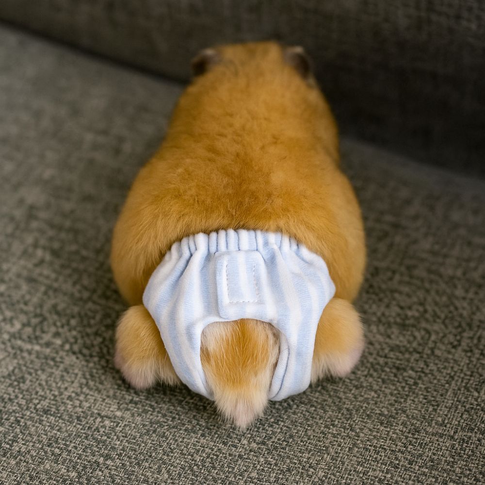 Saugfähige Eichhörnchen-Windel – Period Panty Absorbent Bewertung und Preis
